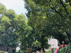 -湖北省美术院美术馆