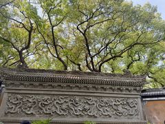 -普陀山风景名胜区-法雨禅寺