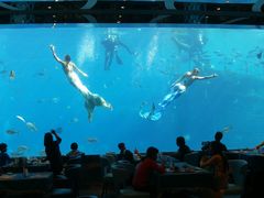 -瑞德姆美人鱼海底演艺主题餐厅(亚龙湾店)