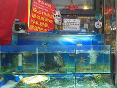 -牟记江湖重庆地标特色菜鱼蛋海鲜无刺鲫鱼(巴南区黑金冠十多年好店)