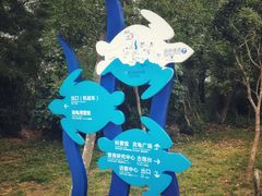 -广东惠东海龟国家级自然保护区
