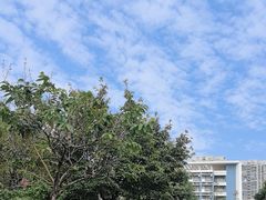-华侨大学(厦门校区)