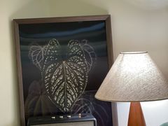 -本無咖啡·BeanWood Coffee