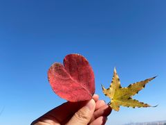 -北京西山国家森林公园