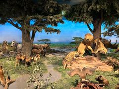 -国家自然博物馆