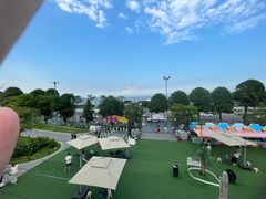 -野狸岛