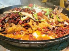 -老板恋上鱼(恒隆广场店)