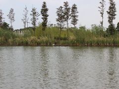 -苏州太湖国家湿地公园