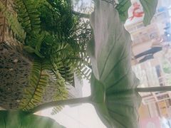 -新辣道鱼火锅(西直门店)