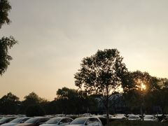 -上海欢乐谷-停车场