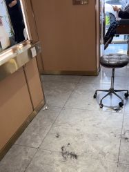 -一東造型烫发染发