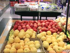 -高新活力汇Vitality