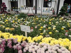 -洪湖生态旅游区