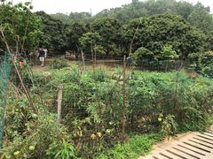 -牙山果园·烧烤野炊·钓鱼团建·烤全羊