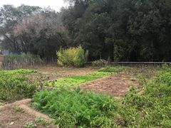 -延安杨家岭革命旧址