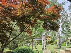 -禧宴Joyous Restaurant(禧园店)