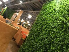 -四季合味椰子鸡(南山大冲店)