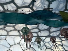 -水立方嬉水乐园