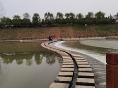 -洨河生态公园