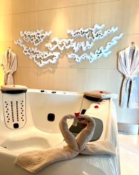 -珠海瑞吉酒店·铱瑞水疗