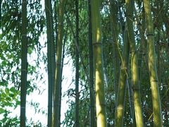 -西溪南古村落景区