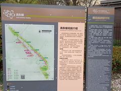 -高东镇樱花园