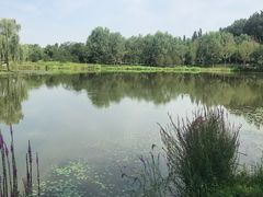 -东郊湿地公园