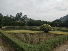 -南沙蒲洲花园