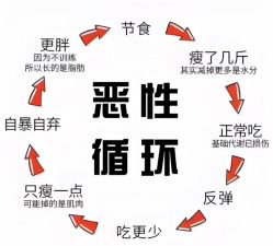 -Fundi张玉珊修身堂·indiba·BTL科技瘦身