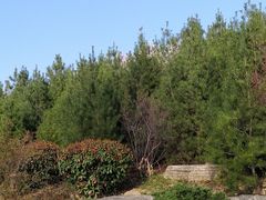 -宝鸡植物园