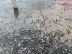 -青海湖二郎剑景区