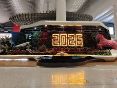 -广州白云国际机场-T2航站楼