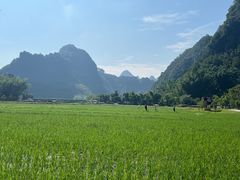 -靖西鹅泉风景区