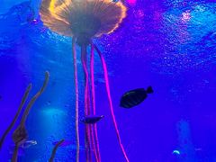 -沈阳海洋探索中心