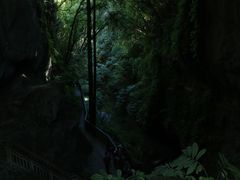 -怀托摩萤火虫洞