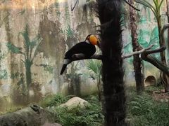 -杭州野生动物世界