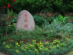 -新江湾城公园