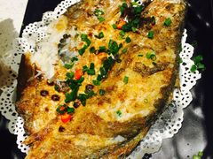 -九府羊·鲜羊火锅·烤串(新华路店)