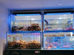 -南海渔村(珠江新城店)