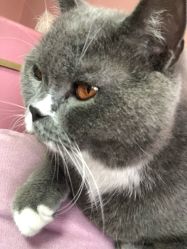 -Pink You美甲美睫纹绣定制中心