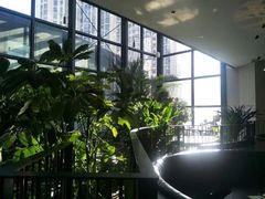 -大树餐厅(红旗街万达店)