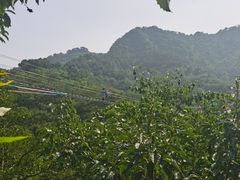 -吉姆冒险世界(蓟州店)