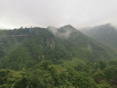 -四明山国家森林公园