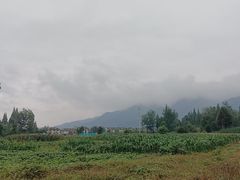 -青城山
