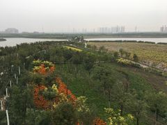 -天津东丽湖风景区