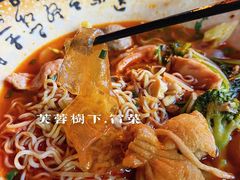 -芙蓉树下冒菜·麻辣烫(农院店)