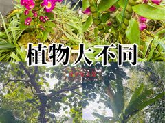 -野象谷景区