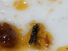 -娱筷海鲜酒家(广州南沙店)