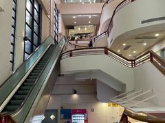 -香港大学