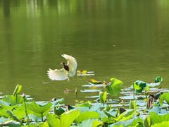 -人民公园(罗湖区)